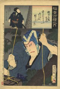 Kunichika / 100 Roles of Baiko / Tomizo the vagrant [梅幸百種之内　野洲無宿富蔵]