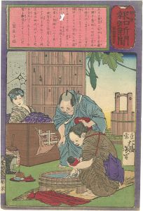 Hochi Newspaper No.447