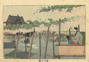 Kiyochika / Pictures of Famous Places in Tokyo / Wisteria at Kameido [東京名所図　亀井戸藤]