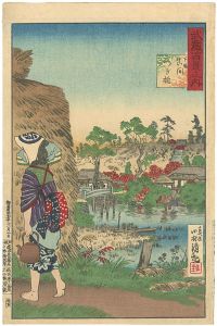 Kiyochika / 100 Views of Musashi : Tsugi Bridge of Mama in Shimousa (Chiba prefecture) [武蔵百景之内　下総真間つぎ橋]