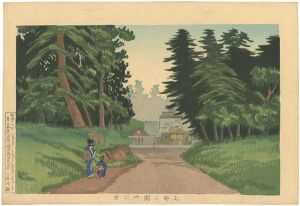 Kiyochika / Pictures of Famous Places in Tokyo / A View of Ueno Park [東京名所図　上野公園内之景]