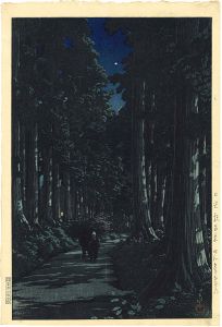 Cryptomeria Avenue, Nikko