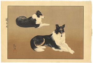 三上知治「護羊犬」