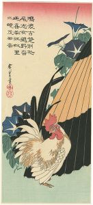 Hiroshige / Morning Glories and Japanese Bantam【Reproduction】 [朝顔に鶏【復刻版】]