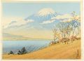 Fudo Incline at Lake Yamanaka