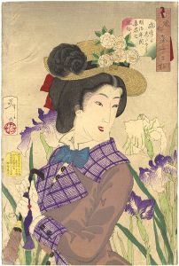 32 Aspects of Women / Looking as If She is Enjoying a Stroll : The Appearance of a Lady of the Meiji Era