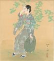 Shikishi(square fancy card boa......