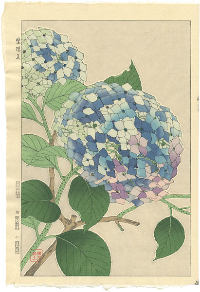 Kawarazaki Shodo “Hydrangea”
