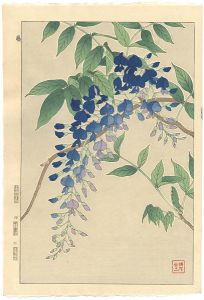Kawarazaki Shodo / Wisteria