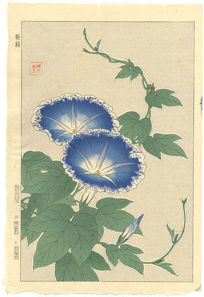 Kawarazaki Shodo “Morning glory”