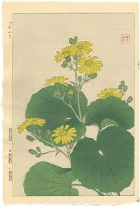 Kawarazaki Shodo / Japanese Silverleaf 