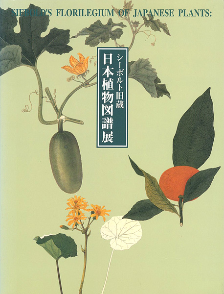 “シーボルト旧蔵 日本植物図譜展” 