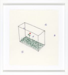 Garden Box