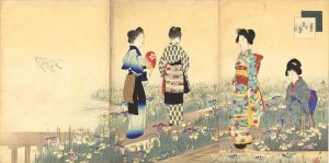 Shuntei / Beautiful Women for the Twelve Months / The 6th Months - Women in an Iris Garden [美人十二ヶ月　其六　菖蒲]