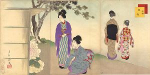 Shuntei / Beautiful Women for the Twelve Months / The 4th Months - Peony [美人十二ヶ月　其四　牡丹]