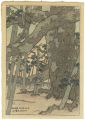 8 Views of Omi / Pine tree at ......