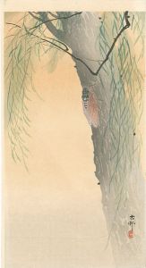 Ohara Koson(Shoson) / Cicada on a Willow Tree (tentative title)