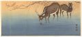 Deers