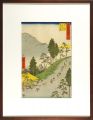 Illustrations of Fifty-three F......