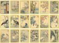 Pictures of 48 Birds