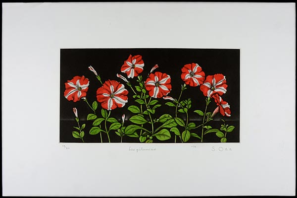Oda Shigeru “Petunia No.6”