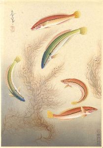 Ono Bakufu / Fish of Japan / The Bera
