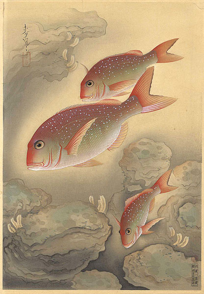 Ono Bakufu “Fish of Japan / The Tai (Sea-bream)”