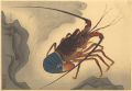 Fish of Japan / The Iseebi (Lo......