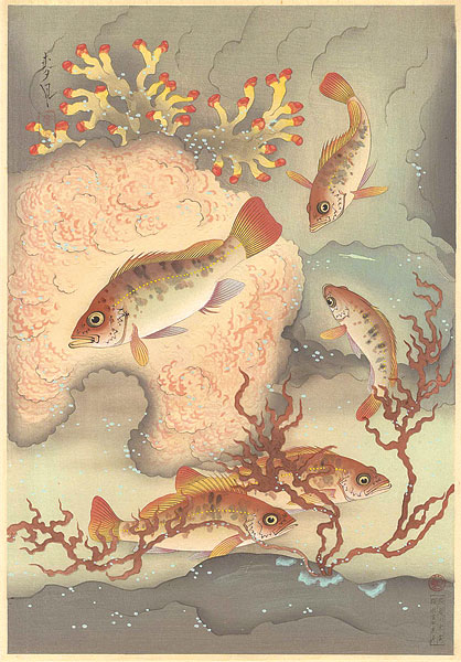 Ono Bakufu “Fish of Japan / The Mebaru (Rockfish)”