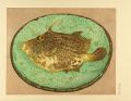 Filefish