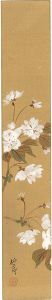 石井柏亭「自筆短冊 桜」