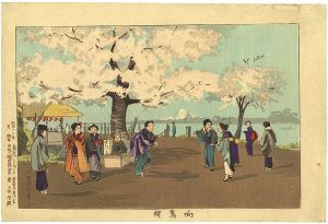 清親「向嶋櫻」