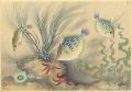 Fish of Japan / The Kawahagi (......