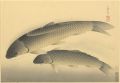 Fish of Japan / The Magoi (Bla......