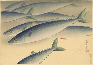 Ono Bakufu / Fish of Japan / The Saba (Mackerel)