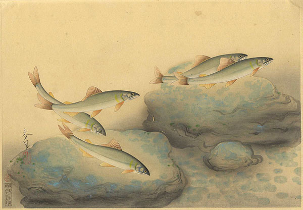 Ono Bakufu “Fish of Japan / The Ayu (Sweetfish) ”