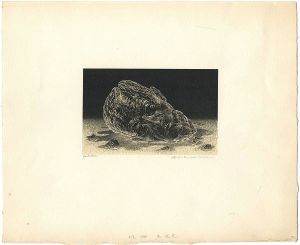 肖像XXXV 泉鏡花