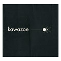 “yasuhiro kawazoe” 