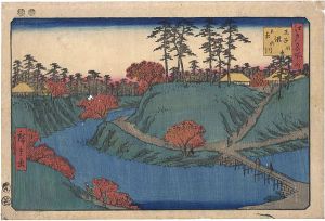Hiroshige / Famous Places in Edo / Waterfall River at Oji  [江戸名所之内　王子瀧の川]
