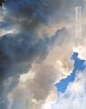 Naoya Hatakeyama：Natural Stori......