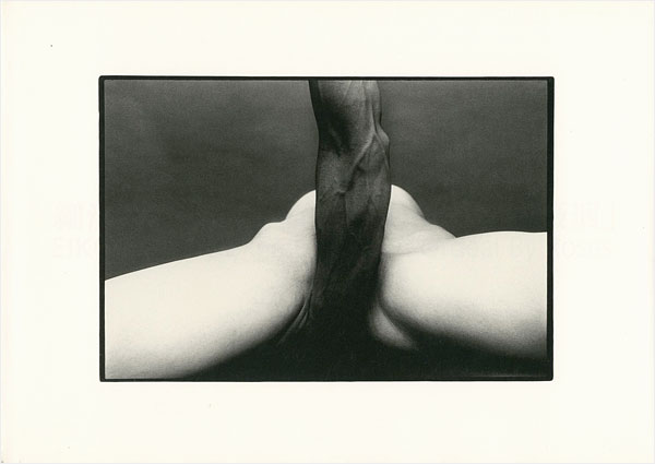 “EIKOH HOSOE：Embrace and Ordeal By Rose” 