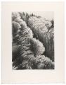Waving Forest (G)