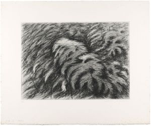 Kimura Shigeru / Bamboo Thicket (D)