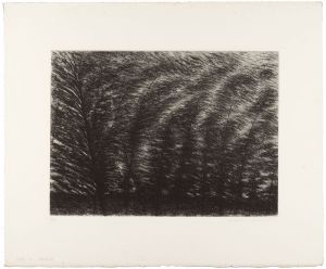 Kimura Shigeru / Bamboo Thicket (E)