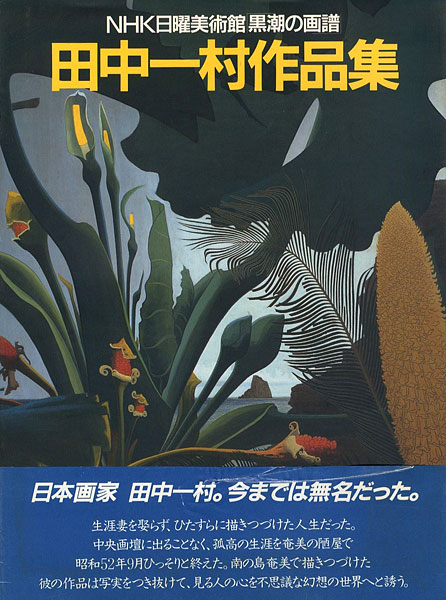 “田中一村作品集 NHK日曜美術館「黒潮の画譜」” 