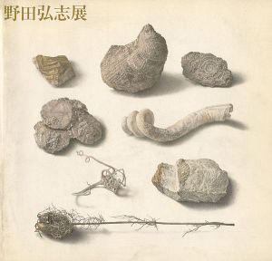 明晰なる神秘 野田弘志展