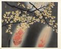Cherry Blossoms at Night