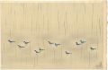 Water Bird