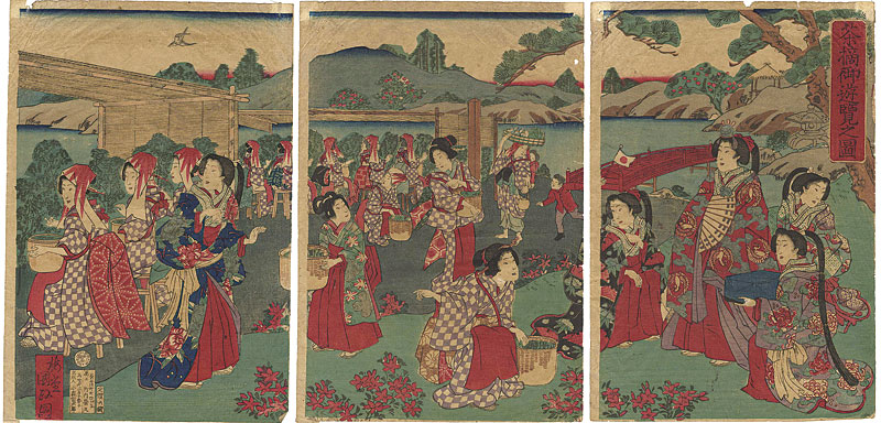 Kunimasa “Picking Tea Leaves”