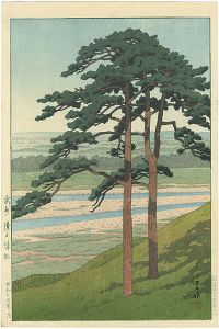Ruins of Takiyama Castle